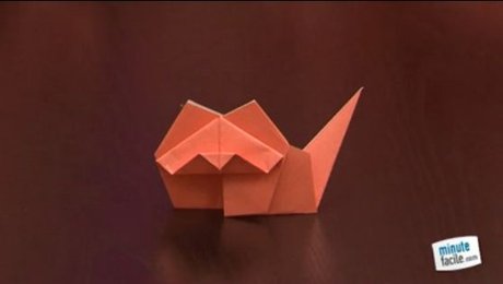 Faire Un Origami De Chat Minutefacile Com